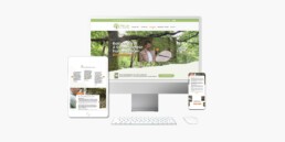 shirin-yoku-webdesign-site-web